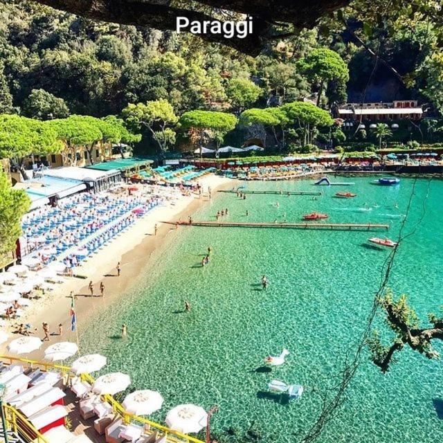 Conca Del Sole Daire Rapallo Dış mekan fotoğraf